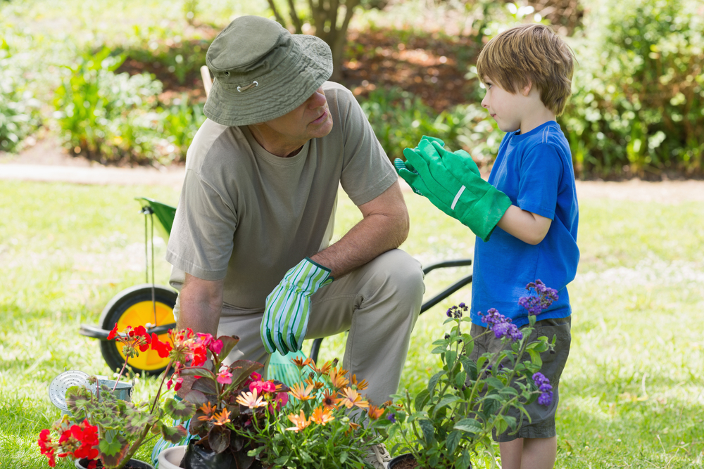 Sustainability in the Outdoor Living Industry